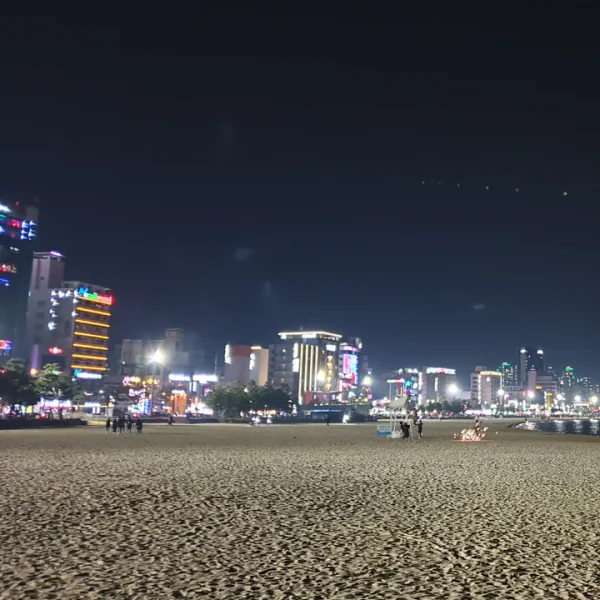 포레스트 효정아지트 테라피 안내 이미지