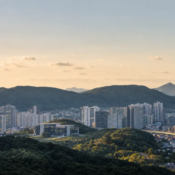 아로마 나나포레스트 홈타이 제휴업체 이미지