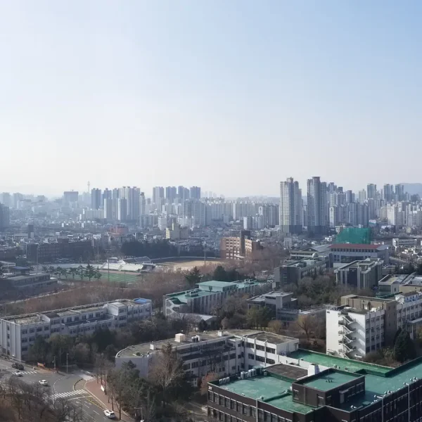 힐링 아델포레스트 테라피 안내 이미지
