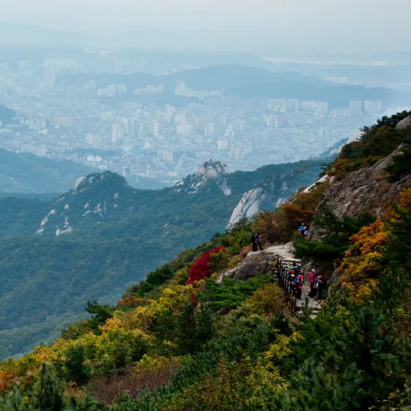 힐링 로제룸 테라피 안내 이미지