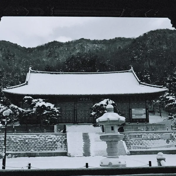 아로마 라비앙플레이스 테라피 안내 이미지